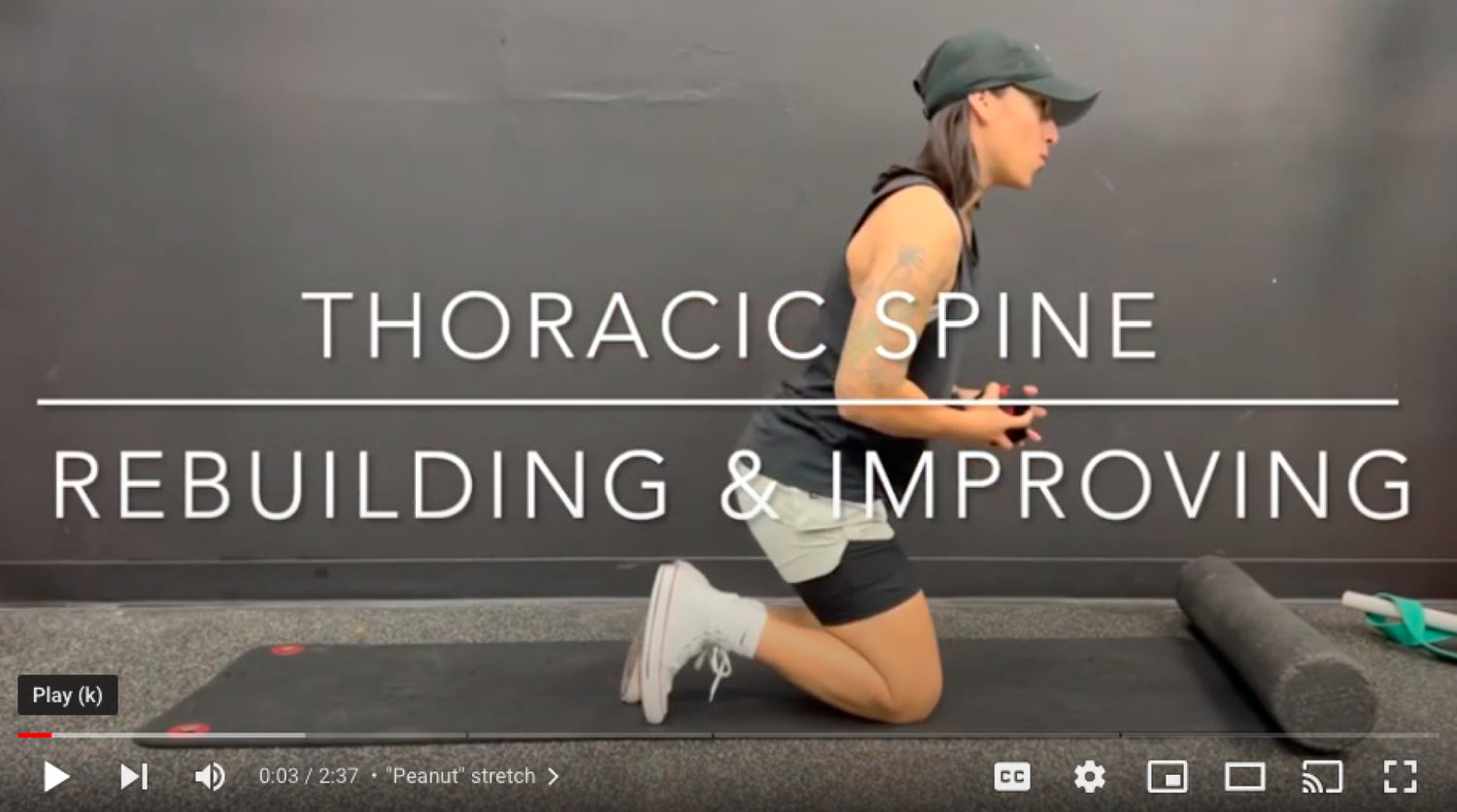 Thoracic spine